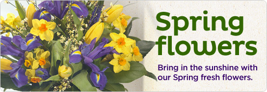 Click to see our fabulous Festive flowers